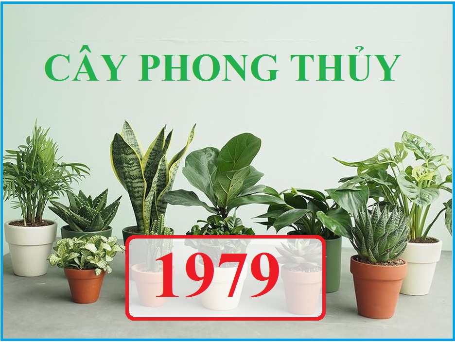 Tiểu cảnh thác nước cho tuổi 1979